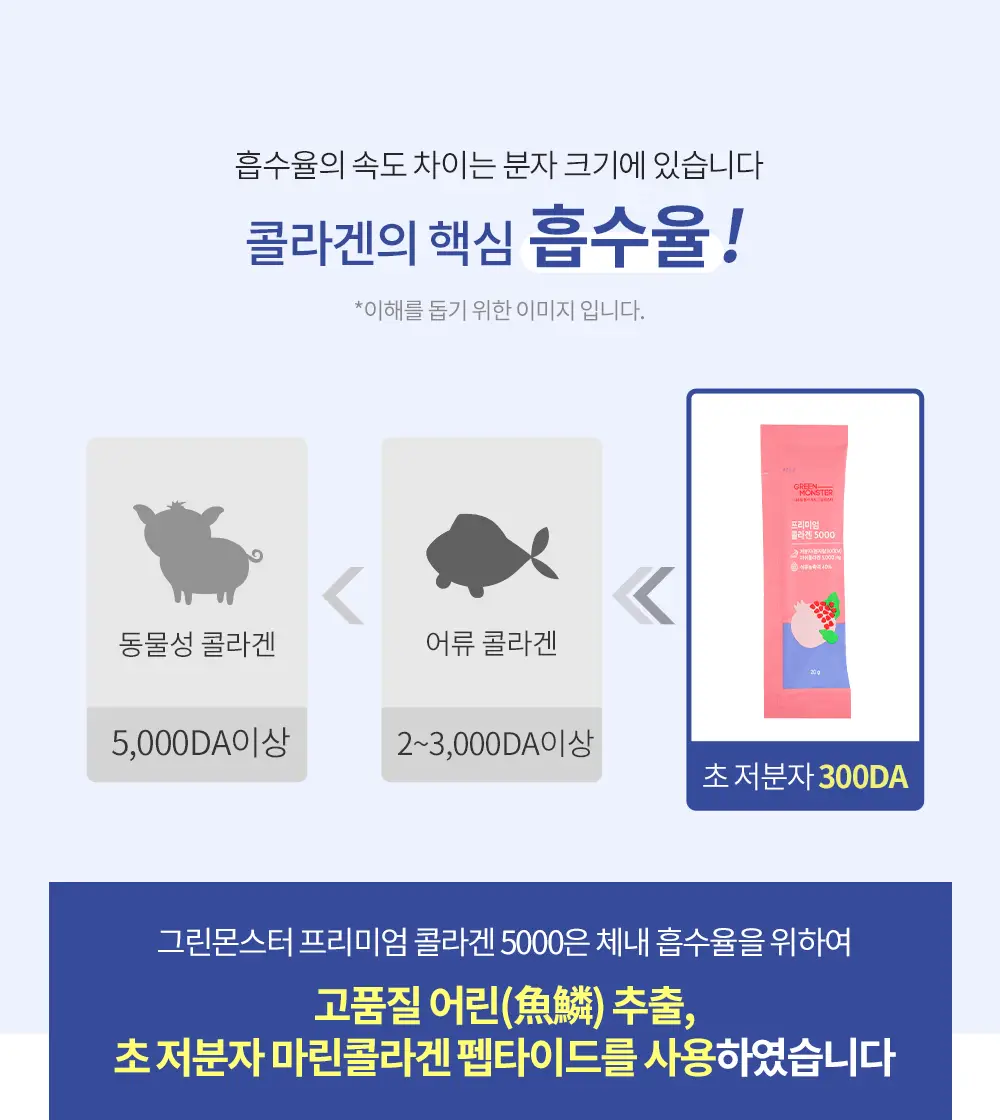 [고함량 콜라겐] 그린몬스터 프리미엄 콜라겐5000 15포 (15일분) 상세페이지 16